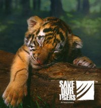 Save our Tigers and spread the message